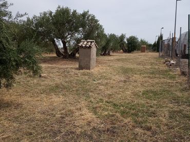 Terreno rustico in vendita a Úbeda