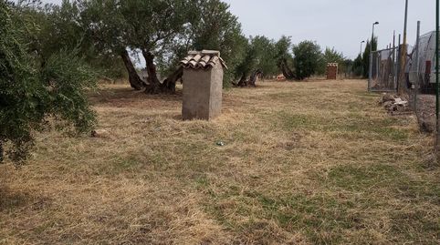 Suelo de 3.000m2 vallado con LUZ con muchas posibilidades en la URBANIZACIÓN SAN BARTOLOME de UBEDA