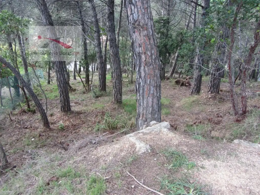 Residential land for sale in Llagostera, imagen 4