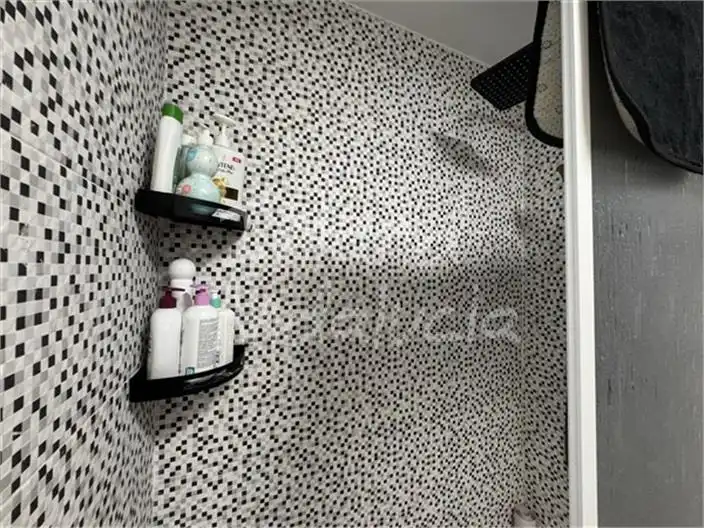 Bany de Apartament en venda en Alcaudete amb Internet