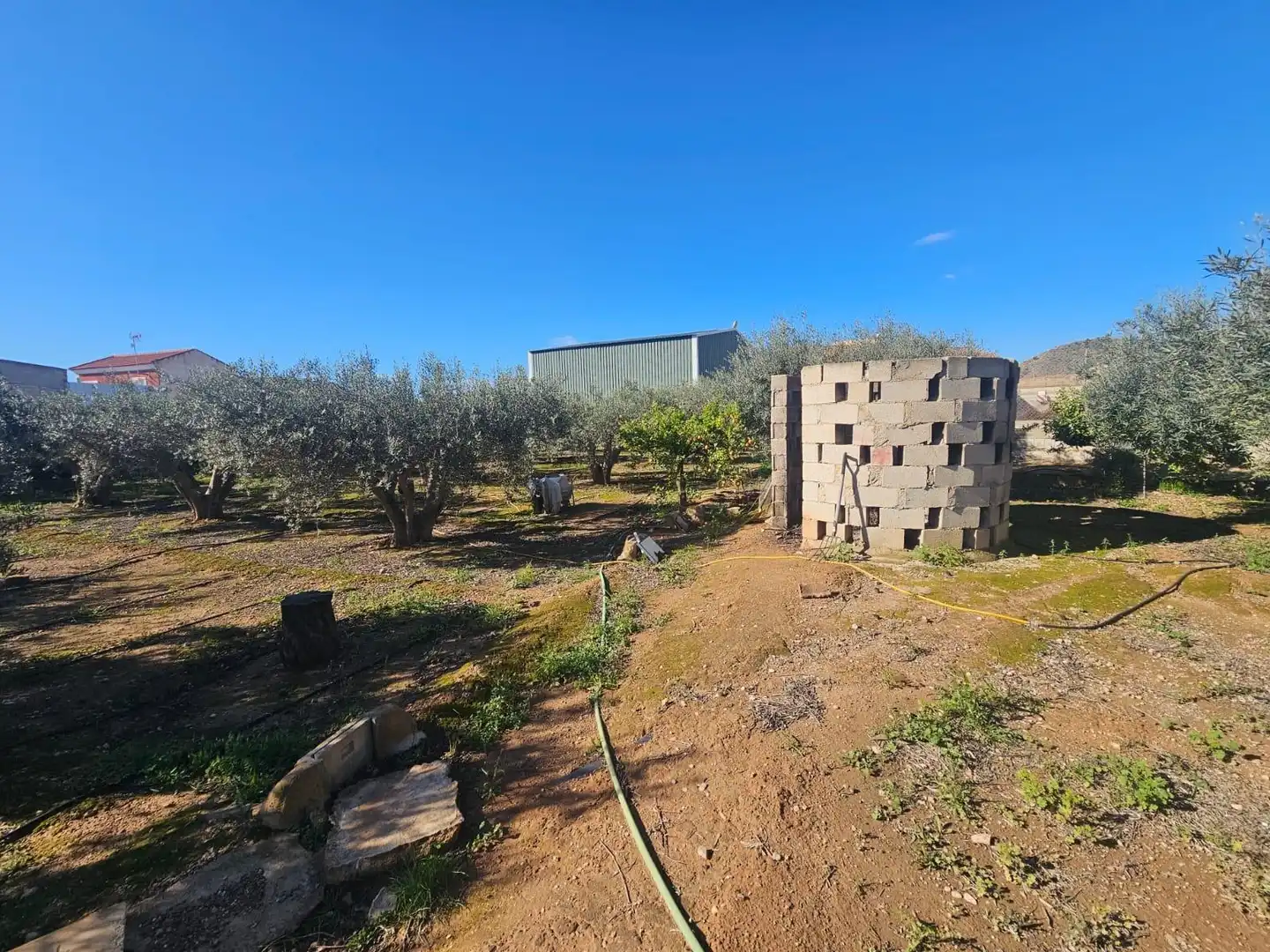 Commercial properties for sale in Fuente Álamo de Murcia