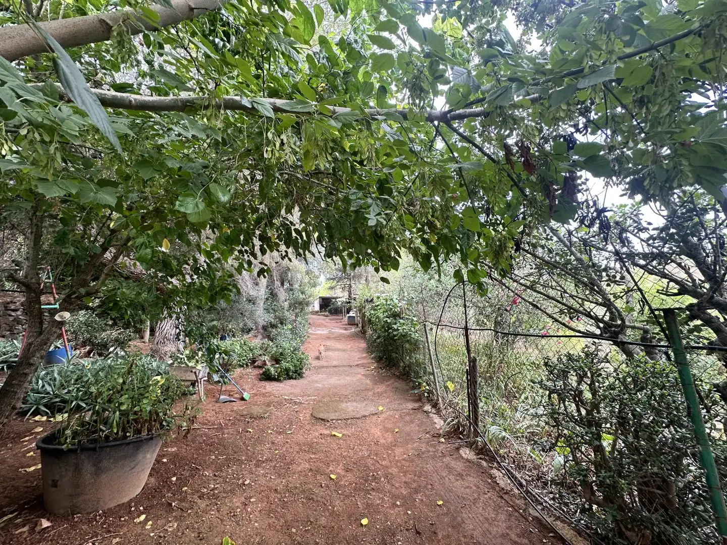 Xalet amb piscina en venda a Algar de Palància, imagen 11