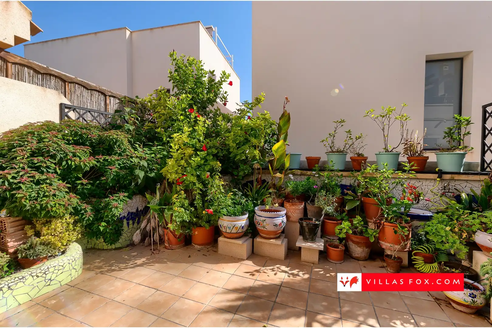 Reihenhaus zum Verkauf in San Miguel de Salinas, imagen 20