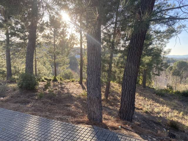 Terreno residencial en Venta en Calle Castor, 22 en Riudarenes