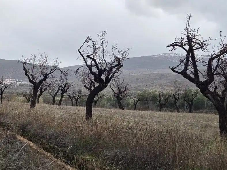 Grundstücke zum Verkauf in Abrucena