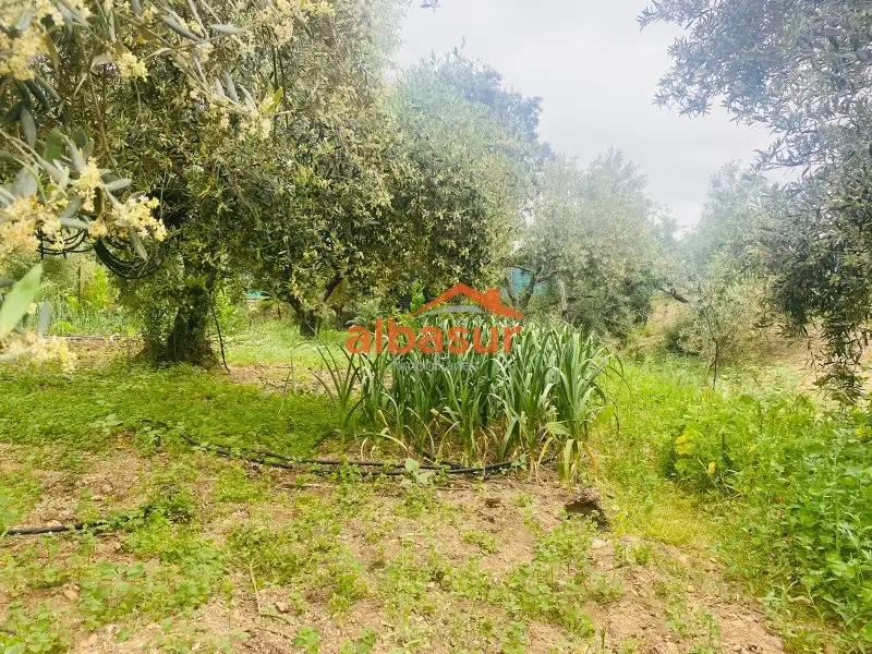 Casa o chalet en venta en La Carlota con Aire acondicionado, Jardín privado y Piscina