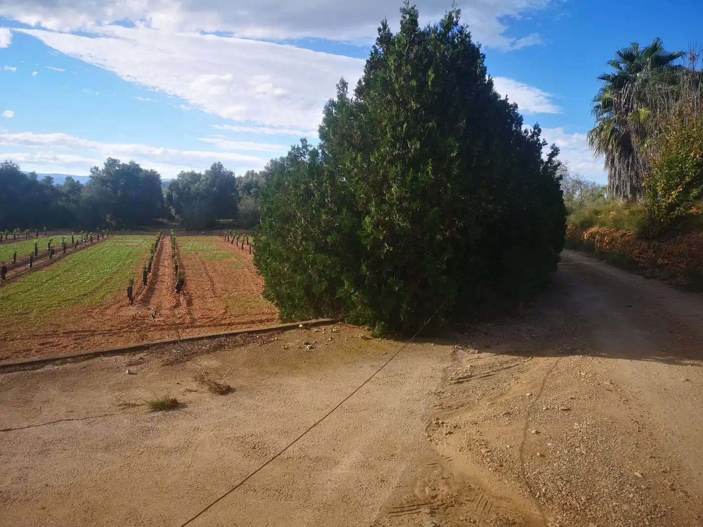 Terreno residenziale in vendita a Ulldecona, imagen 16