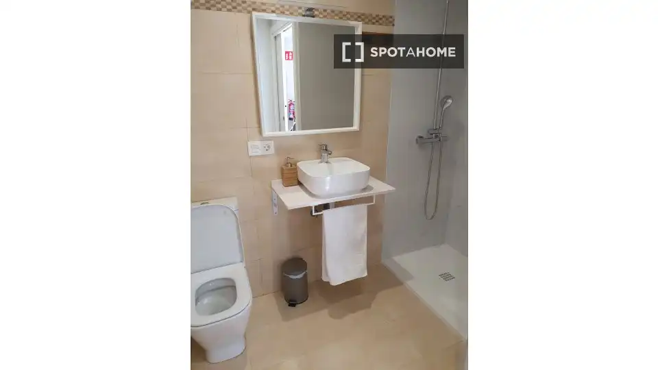 Baño de Piso para compartir en Donostia - San Sebastián  con Aire acondicionado, Calefacción y Amueblado