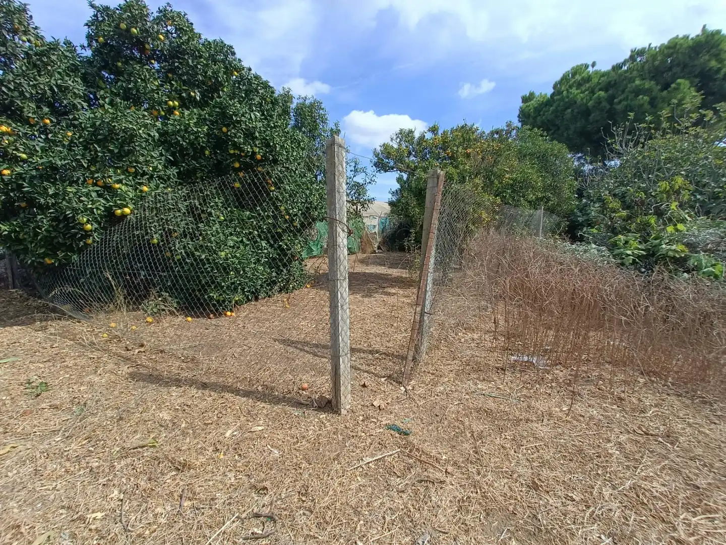 Villa zum Verkauf in Los Franceses – La Vega, imagen 4