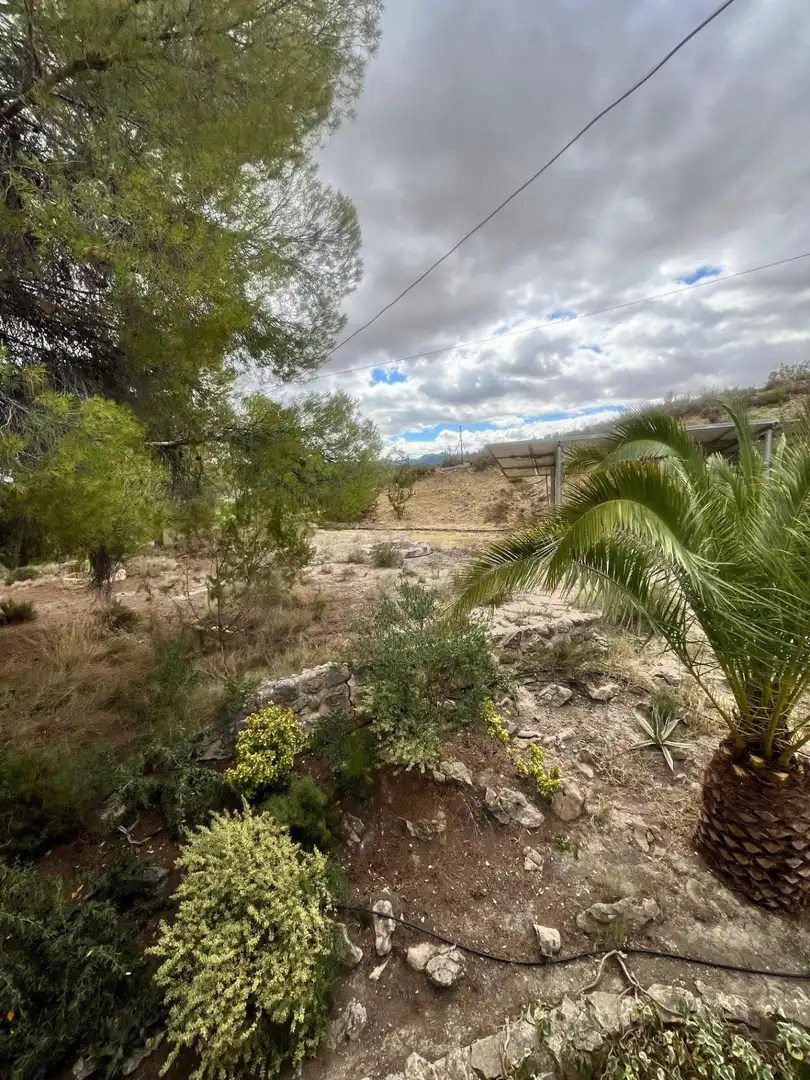 Casa rústica amb piscina en venda a Camino VIAL-5(EL LLANO), imagen 55