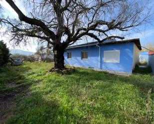 Vista exterior de Casa o xalet en venda en Vilafamés amb Terrassa i Piscina