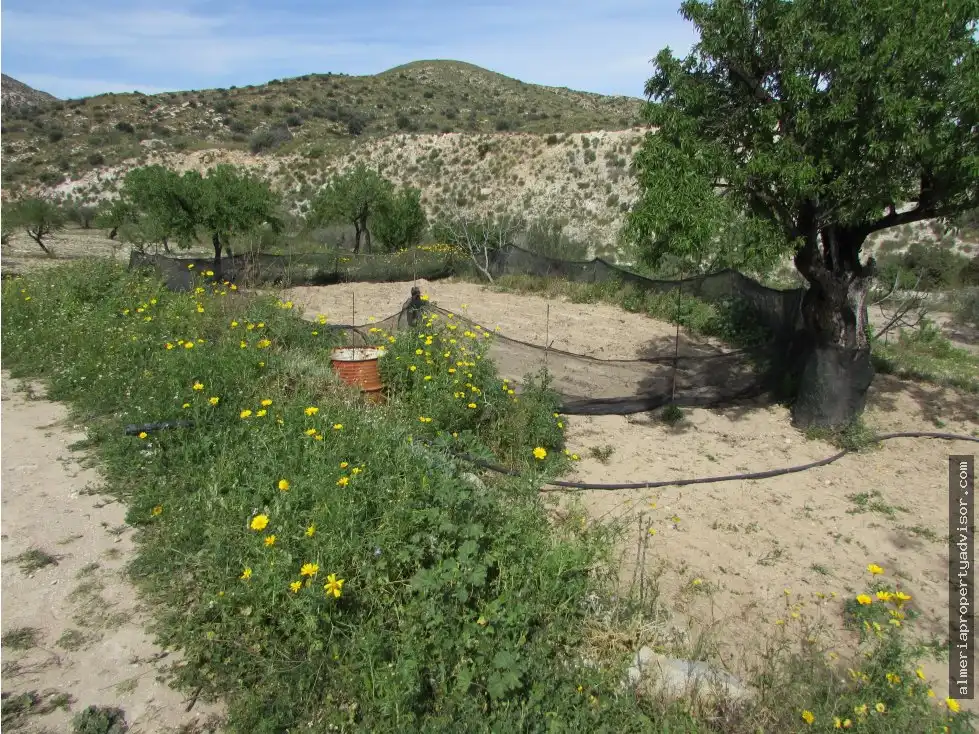 Country house for sale in Sorbas, imagen 16