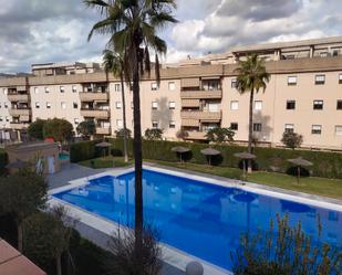 Swimming pool of Flat to rent in Jerez de la Frontera  with Air Conditioner, Terrace and Storage room