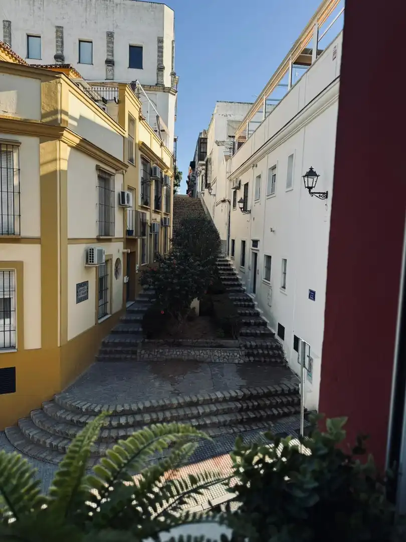 Appartement avec terrasse à vendre à Calle Ganado, imagen 6