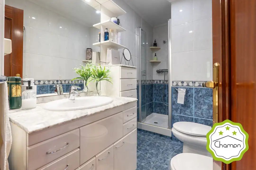 Baño de Piso en venta en Bedia, Bizkaia