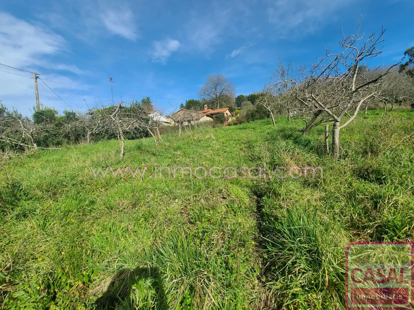 Grundstücke und Bauplätze zum Verkauf in POLIGONO 51 PARCELA 132, imagen 8
