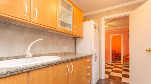 Photo 3 of House or chalet for sale in Picadueñas, Jerez de la Frontera