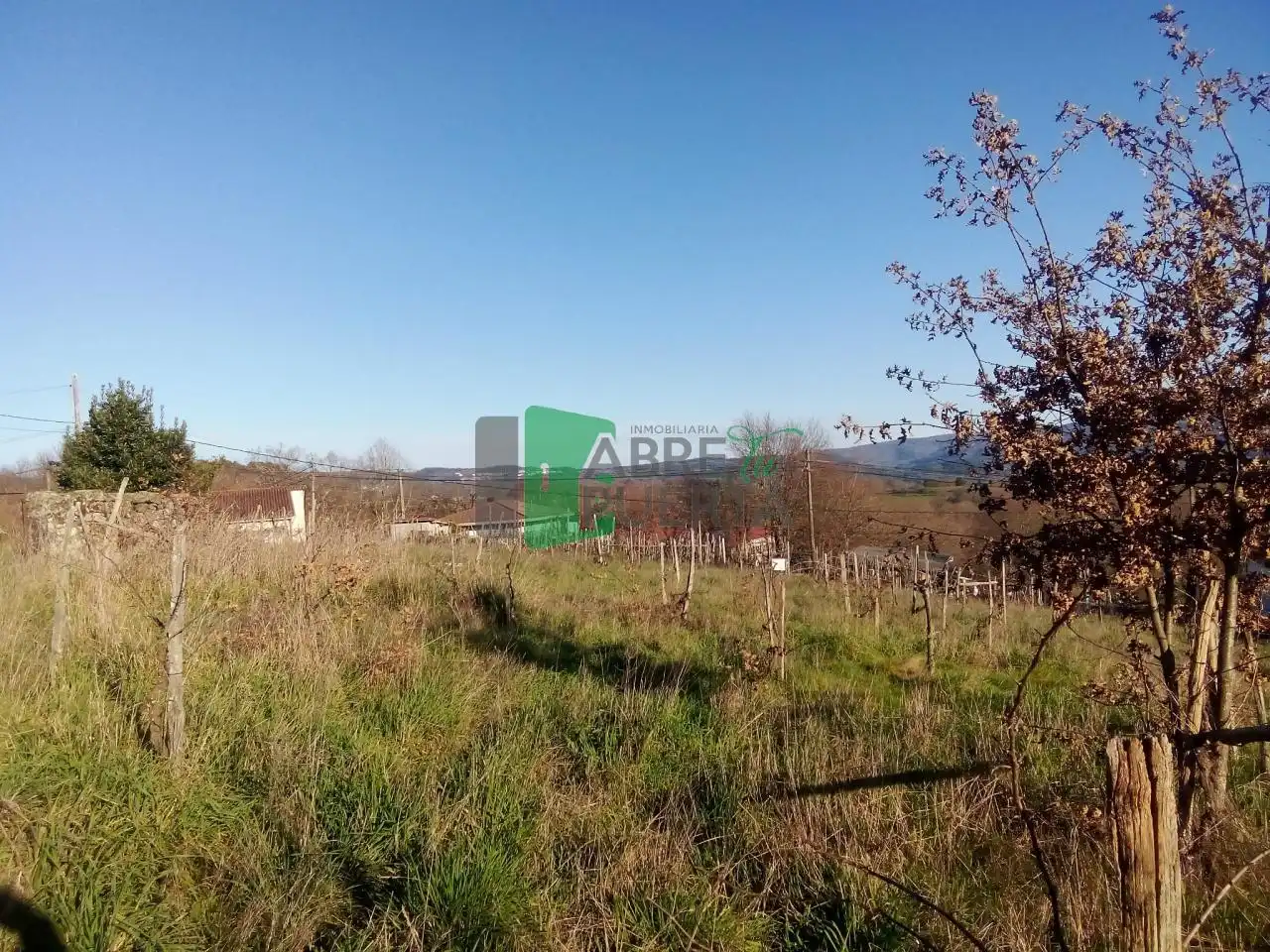 Terreni e lotti in vendita a Coles