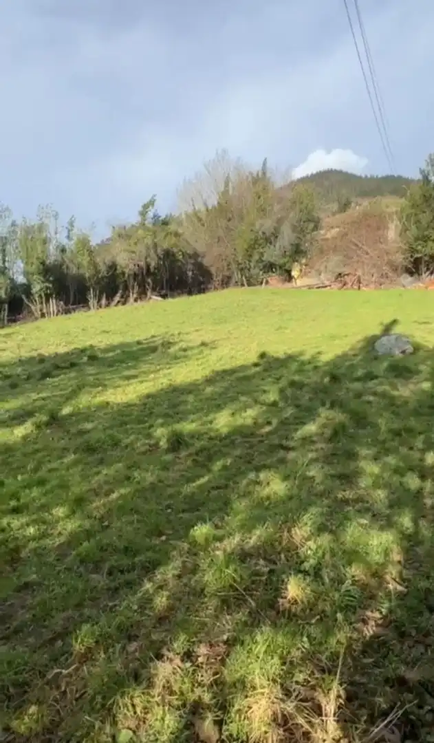 Casa o xalet en venda en Salas amb Terrassa i Piscina