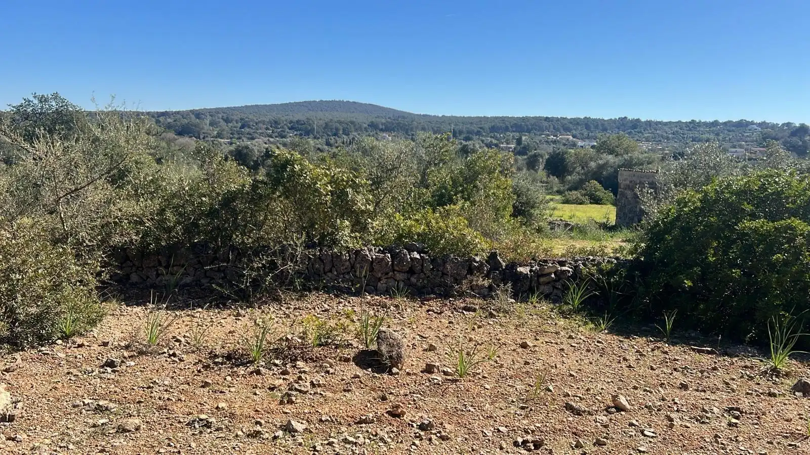 Grundstücke zum Verkauf in Marratxí, Illes Balears