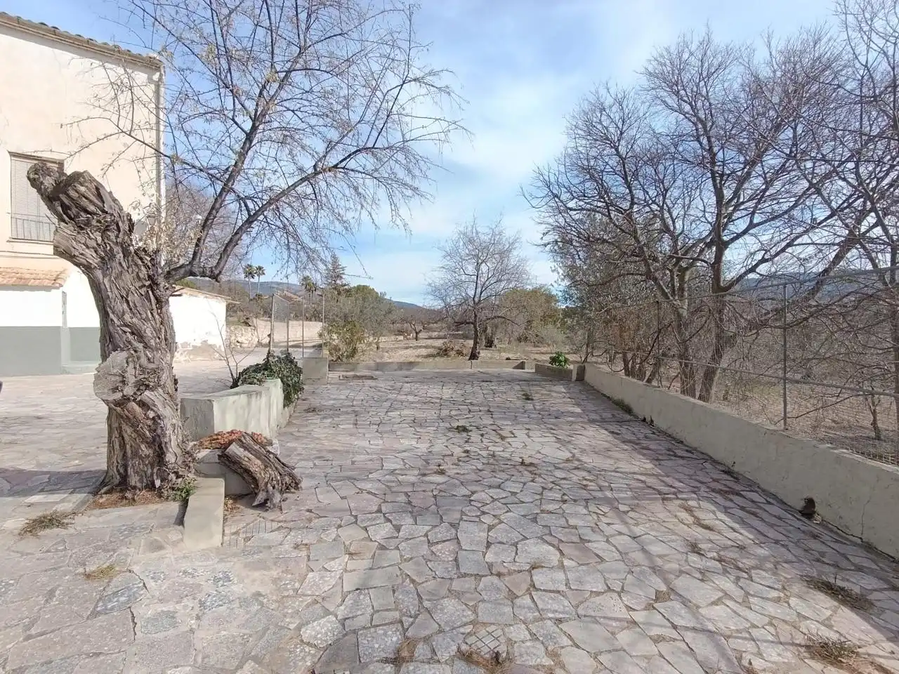 Vista exterior de Finca rústica en venta en Ibi