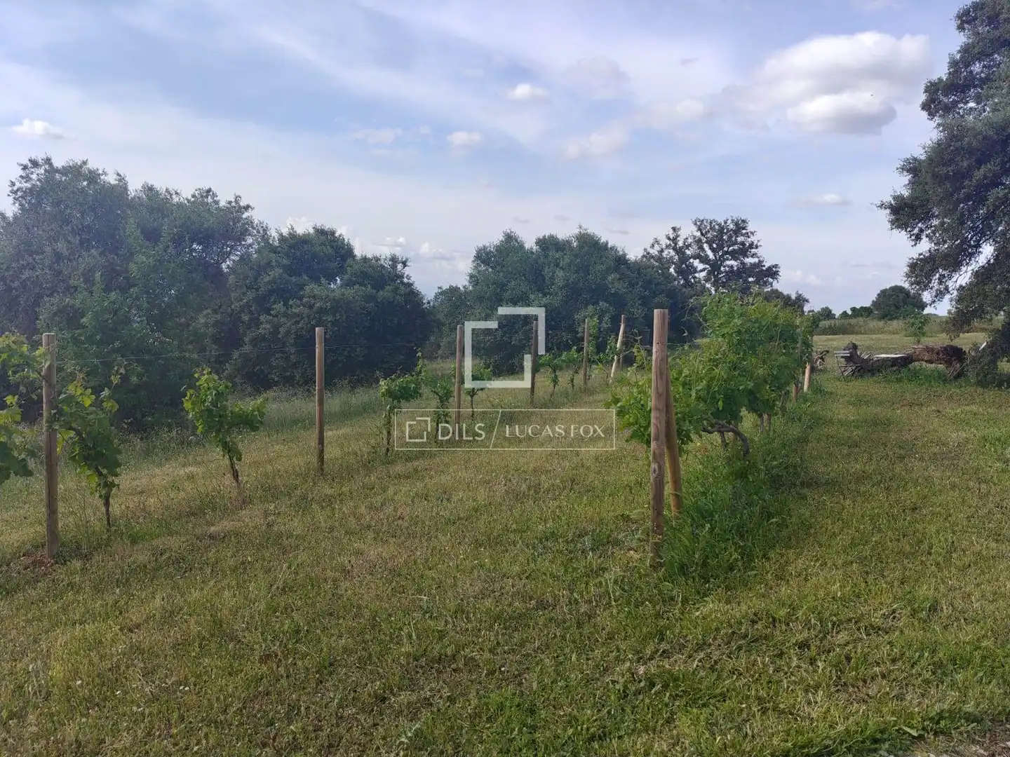 Finca rústica en venda en Malpica de Tajo amb Aire condicionat, Traster i Piscina