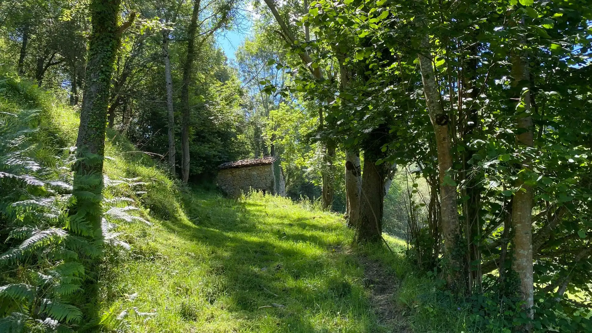 Terreno en venta en PRIESCA, Ponga