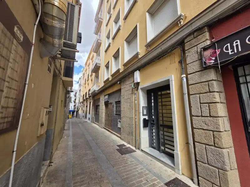 Pis amb terrassa en venda a Centro Ciudad, imagen 2