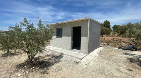 En Venta finca de oliveras con Caseta de Aperos en Cehegin (Murcia).