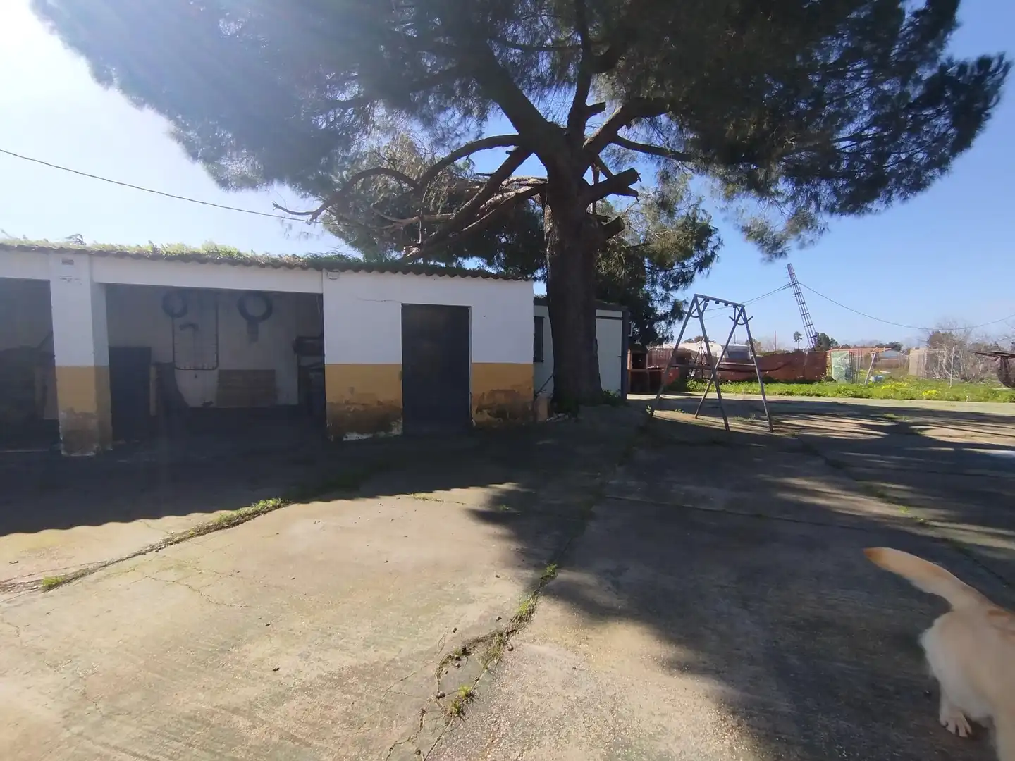 House for sale in Gibraleón, imagen 55