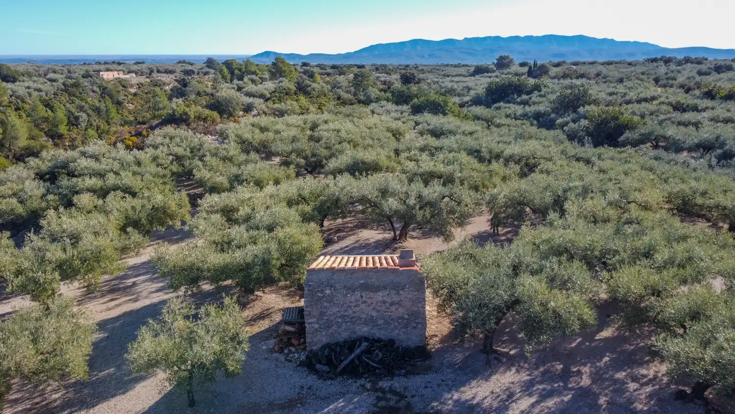 Terreno en venta en Mas de Barberans