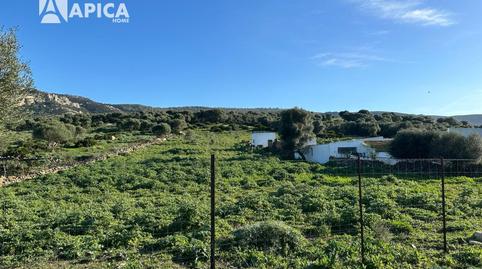 Foto 2 de Terreno en venta en Facinas, Cádiz