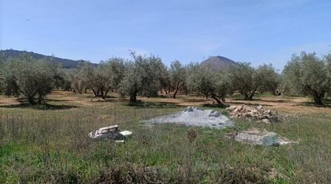 Foto 4 de Finca rústica en venta en Polígono la Zanja, Albolote, Granada