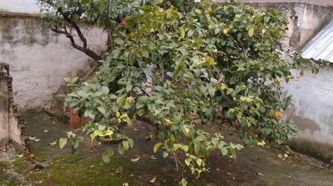 Foto 3 de Casa o xalet en venda a Calle Juan Carlos I, Zona de la Vega, Antequera