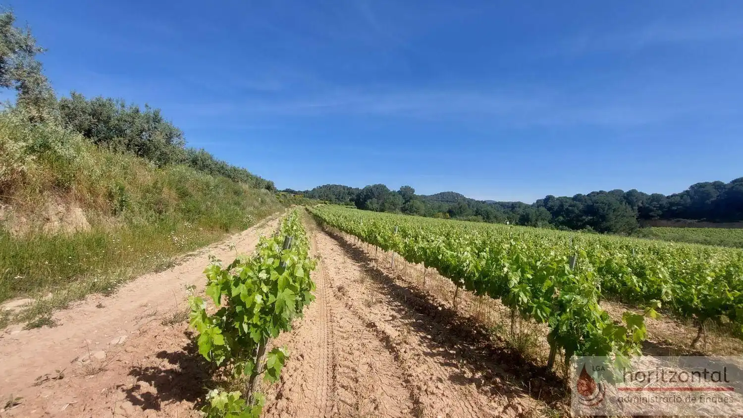 Terrenys i solars en venda a Sant Quintí de Mediona, imagen 11