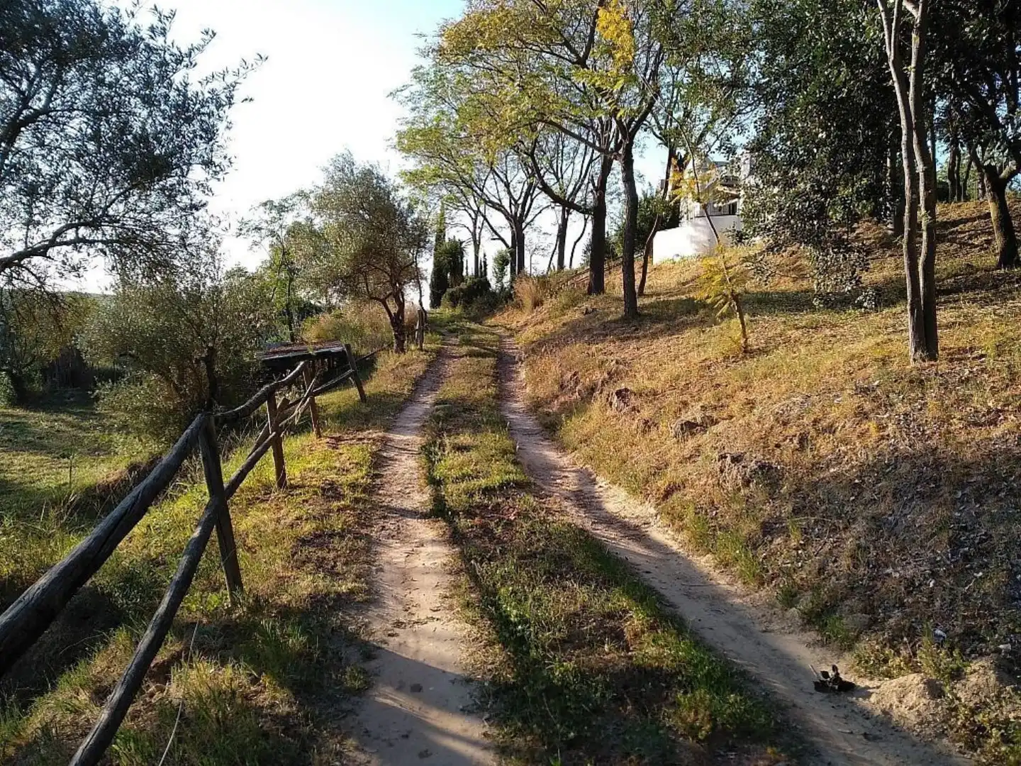 Vista exterior de Casa o xalet en venda en Sanlúcar la Mayor amb Aire condicionat, Calefacció i Jardí privat