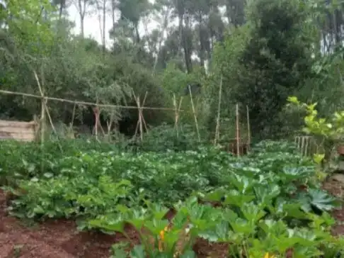 Wohnung zur Miete in La Palma de Cervelló mit Privatgarten und Möbliert