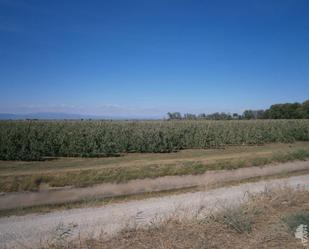 Residencial en venda a Margalef, Torregrossa