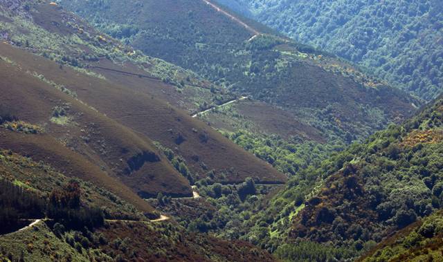 Casa-chalet en Venta en 124. Parcela en Cervantes