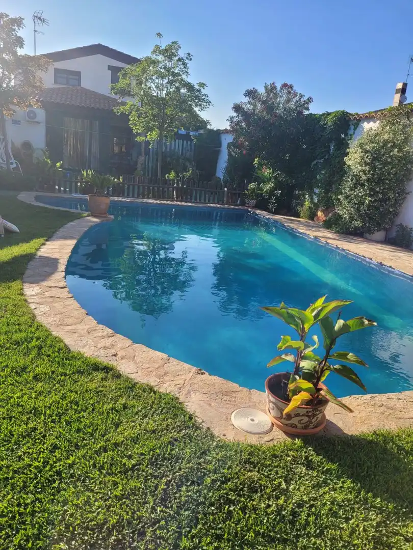 Haus mit Pool zum Verkauf in Música, imagen 21
