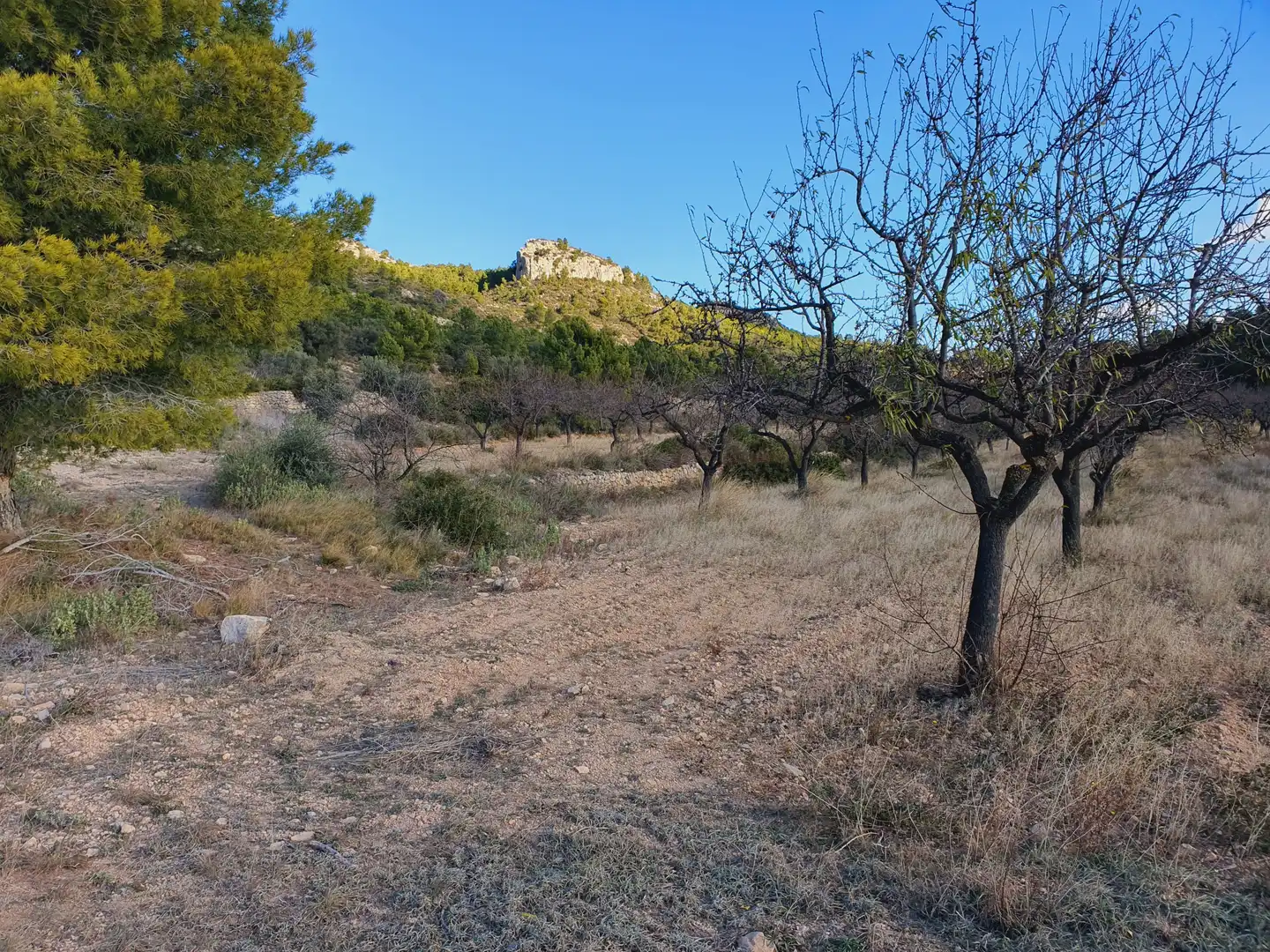 Maison à vendre à El Pinell de Brai, imagen 69