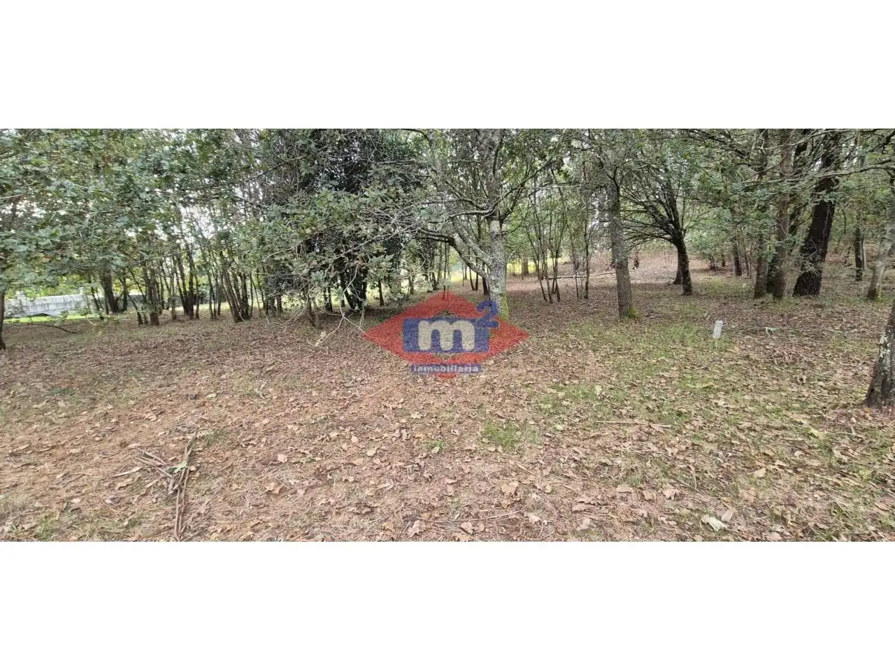 Terreny en venda en O Pino 