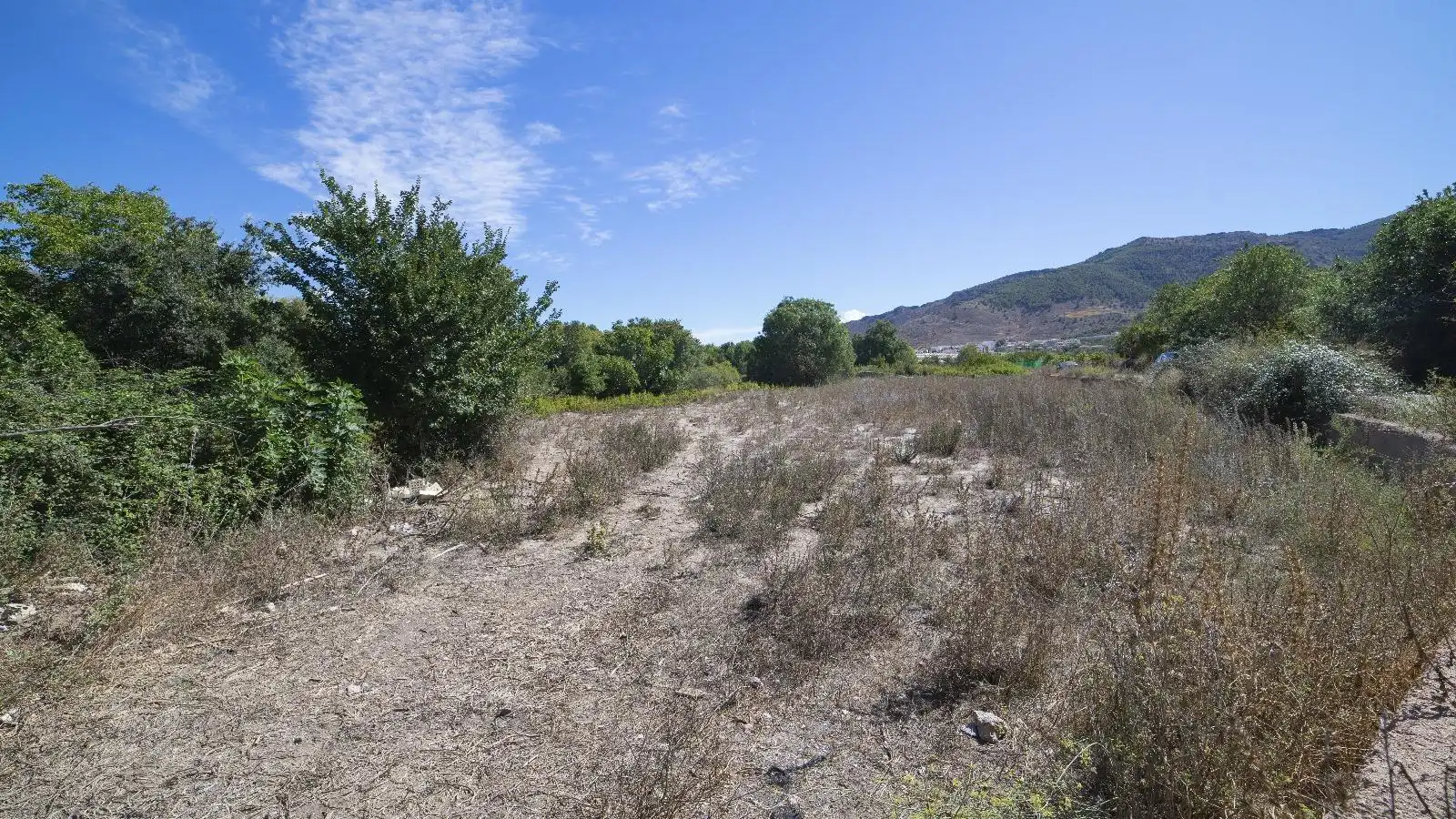 Terreny rústic en venda a PAGO ACEQUIA BAJA Polígono 11 Parcela 174 11, imagen 4