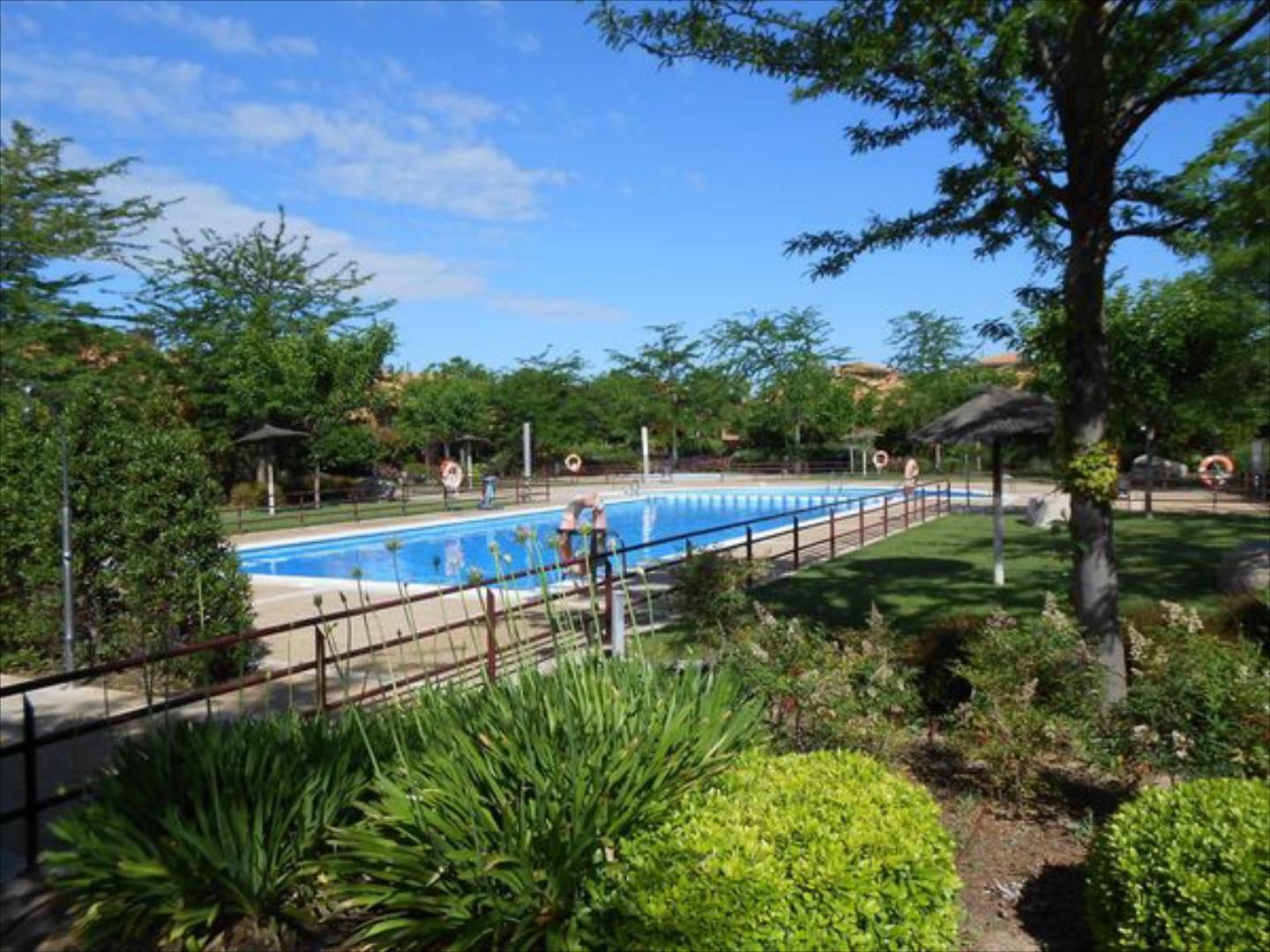 Swimming pool of House or chalet to rent in  Zaragoza Capital