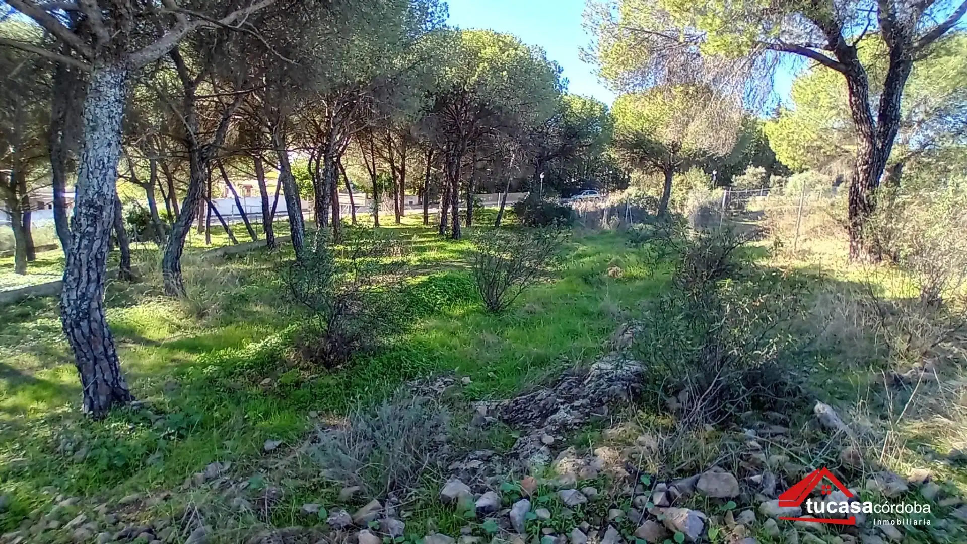 Wohnbaugrundstück zum Verkauf in Periurbano Este - Campiña, imagen 6