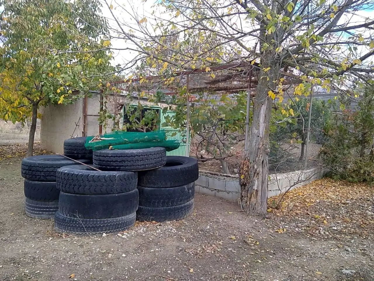 Jardín de Finca rústica en venta en Benalúa de las Villas con Jardín privado, Terraza y Trastero