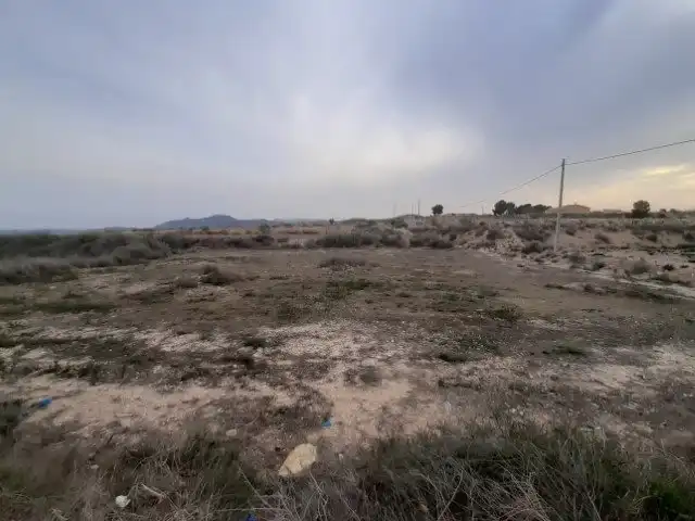 Terreny rústic en venda a Novelda, imagen 4