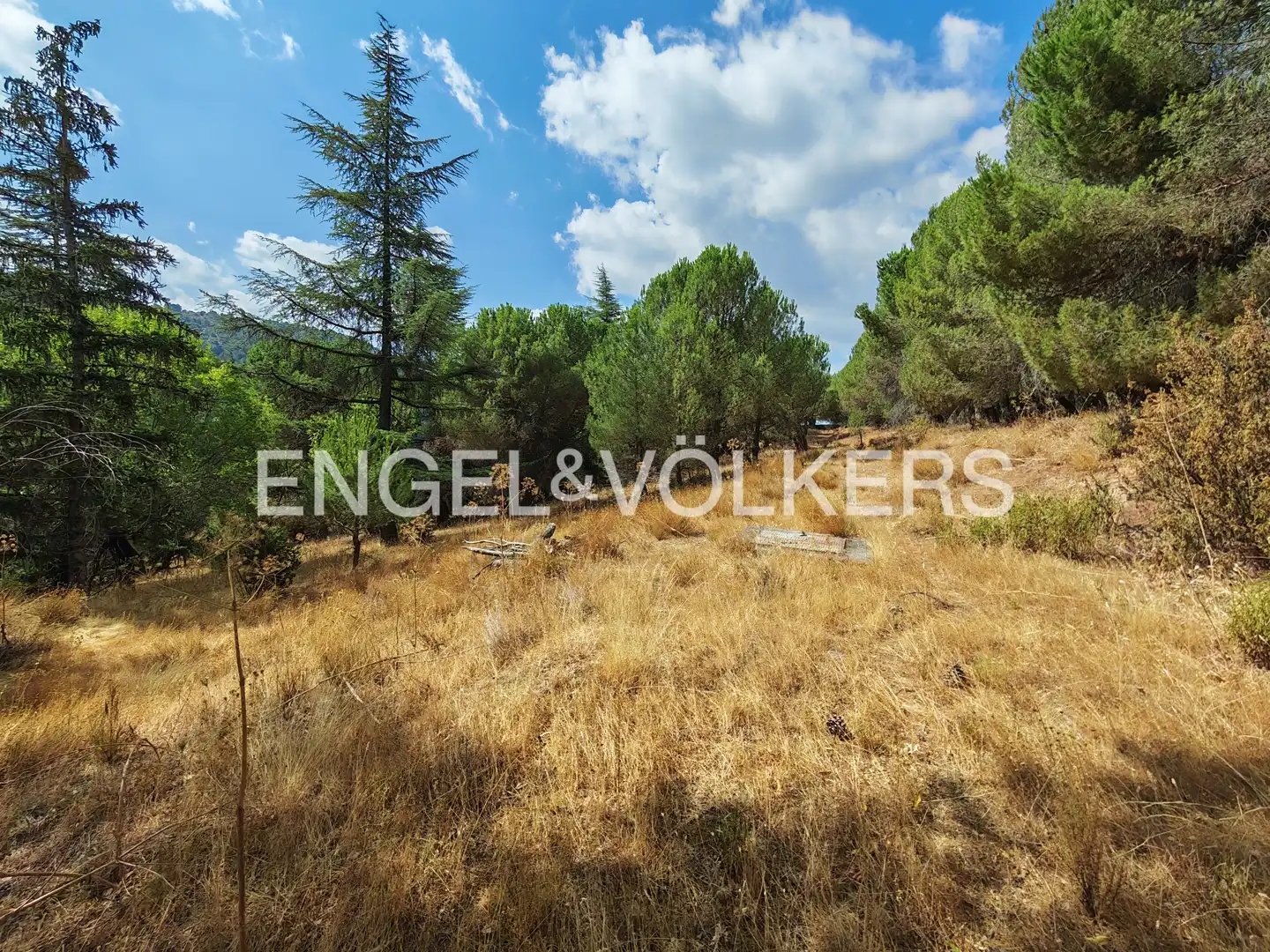 Residential land for sale in Collado Mediano, imagen 15