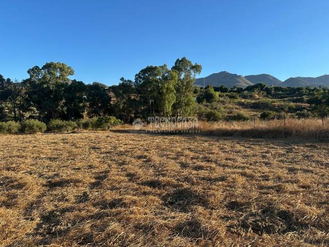 Terreno en Venta en Buenavista - Lauro Golf