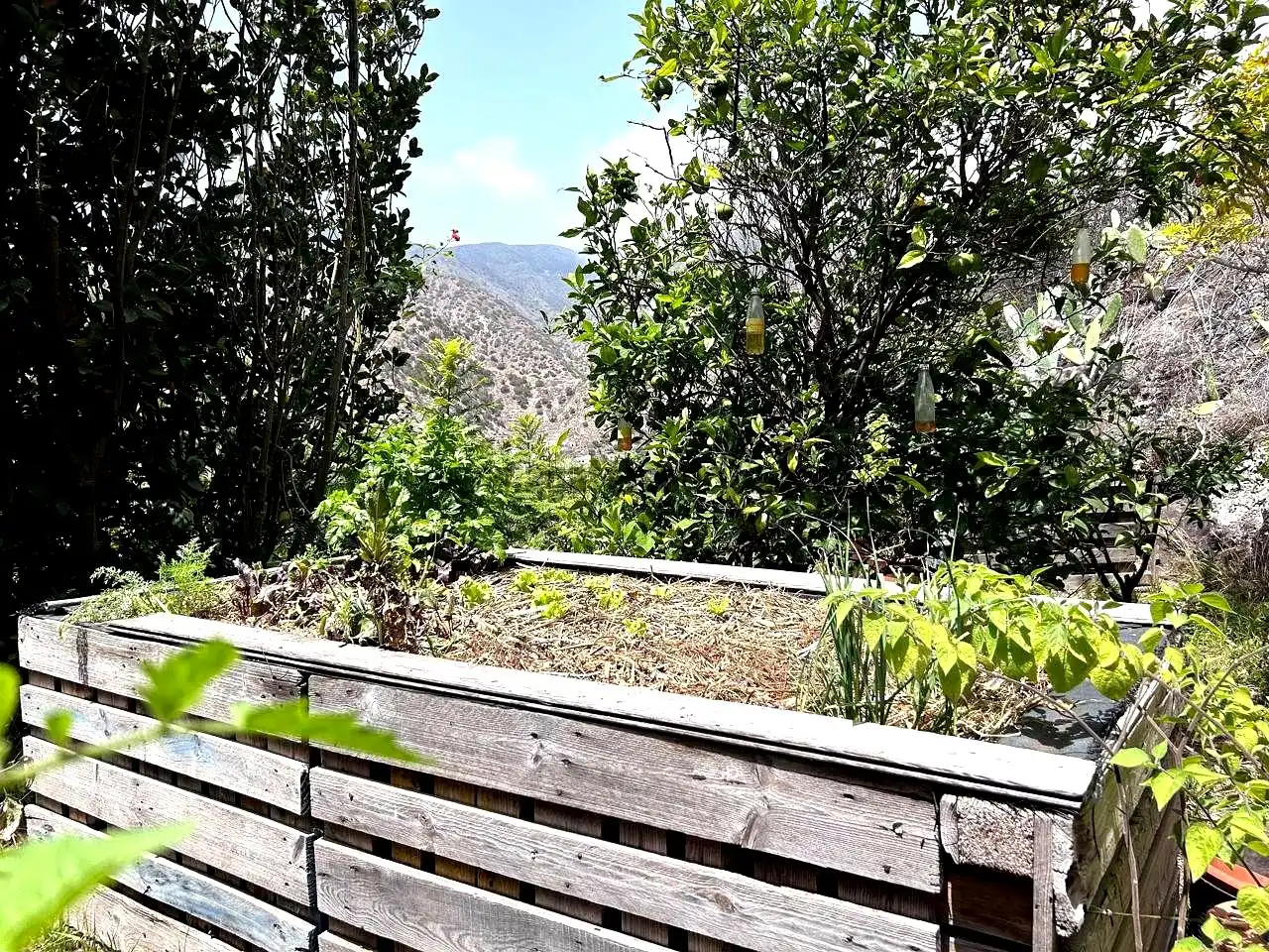 Jardín de Finca rústica en venta en Vallehermoso con Aire acondicionado, Calefacción y Jardín privado